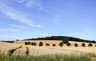 Bretten/Dürrenbüchig: Hügelstürmerwege