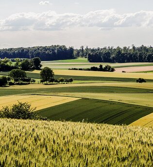 BT1 - Großer Brettener Südweg