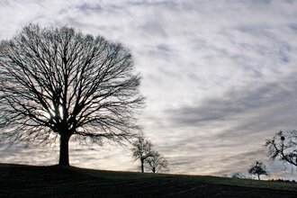 BT2 - Kleiner Brettener Südweg
