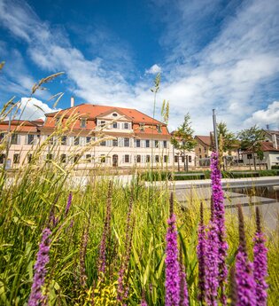 bwegt-Wanderweg: Von Walheim nach Bönnigheim | © Stadt Bönnigheim