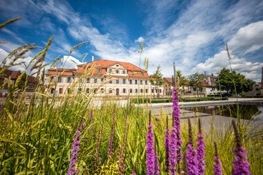 © Stadt Bönnigheim