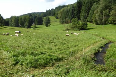 © Landratsamt Rhein-Neckar-Kreis