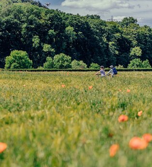 Radfahrer auf dem Drei-Täler-Radweg | © Touristikgemeinschaft Odenwald e.V.