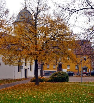 Durch den Alten Keller von Sternenfels nach Diefenbach | © Land der 1000 Hügel - Kraichgau-Stromberg