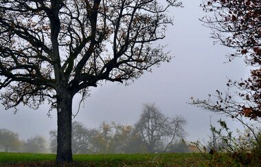 Durch den Alten Keller von Sternenfels nach Diefenbach | © Land der 1000 Hügel - Kraichgau-Stromberg