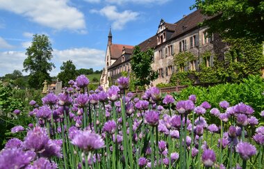 E-Bike-Tour: Idylle und Genuss im Taubertal - E4 | © Eigenbetrieb Kloster Bronnbach