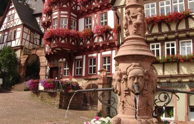 E-Bike-Tour: Maintal aktiv und historisch - E3 | © TOURISMUS REGION WERTHEIM GmbH