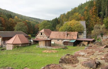 E-Bike-Tour: Mühlental ruhig und kraftvoll - E5 | © TOURISMUS REGION WERTHEIM GmbH
