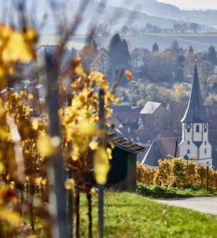Bilck auf den Weinsüden Weinort Kürnbach | © Kraichgau-Stromberg Tourismus e.V.