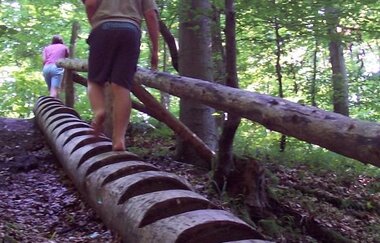 Eppinger Waldstation - Besucher/Kinder auf Stamm-Treppe