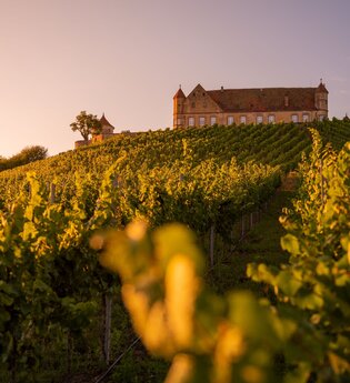 Burg Stettenfels | Untergruppenbach | HeilbronnerLand | © Tourisitkgemeinschaft HeilbronnerLand
