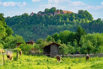 Erlebnistour 10: Grenzerfahrungen | © Liebliches Taubertal