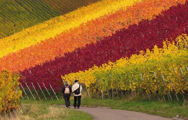 Etappe 5: Von Marbach ins Remstal, weiter über Stuttgart nach Esslingen | Württemberger Weinradweg | © Stuttgart Marketing GmbH