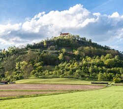 Eine Kapelle auf einem Hügel mit Bäumen und Weinbergen. | © Tourismusförderung Landkreis Tübingen /Hammer