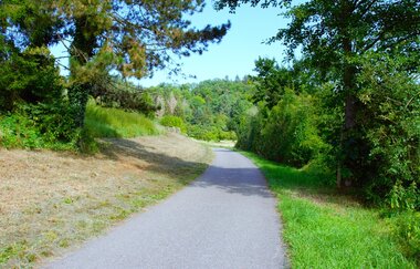 Gänslauf | Neudenau | HeilbronnerLand | © Stadtverwaltung Neudenau