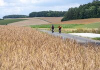 2 Radler fahren entlang eines Radweges zwischen Dinkelfeldern | © Touristikgemeinschaft Odenwald e.V.