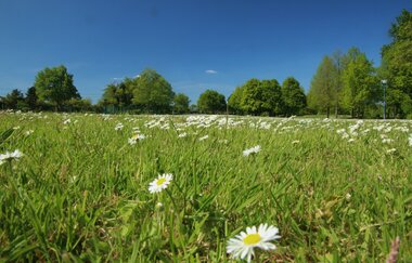 Hockenheim: Hockenheimer RadRing | © Landratsamt Rhein-Neckar-Kreis