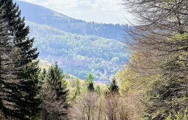Höhepunkte im Odenwald | © Quelle: Landratsamt Rhein-Neckar-Kreis