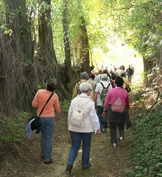 Hohlwegwanderung ab Bruchsal - Route 2 | © Land der 1000 Hügel - Kraichgau-Stromberg