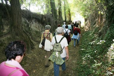© Land der 1000 Hügel - Kraichgau-Stromberg