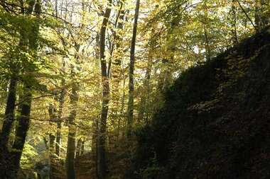 © Land der 1000 Hügel - Kraichgau-Stromberg