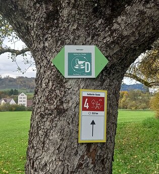 Wanderwegweiser an einem Baum, im Hintergrund grüne Hecken und Wiese | © Petra Natzkwoski