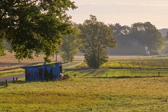 Weide bei Kupferzell | © Touristikgemeinschaft Hohenlohe e.V. | Andi Schmid