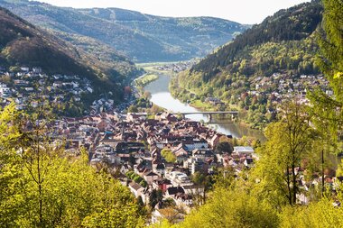 © Stadt Eberbach / Andreas Held
