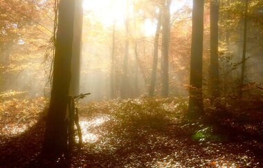 IVB MTB Tour 1 Stadtwaldrunde | © Initiative Verantwortungsvolles Biken Landkreis Heilbronn