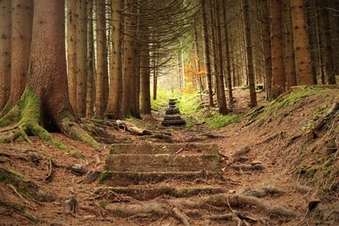 Alter Schulweg | Mountainbiketour IVB MTB 5 | Wüstenrot | HeilbronnerLand | © IVB MTB