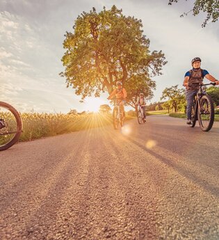 4 Radfahrer fahren auf einem asphaltierten Radweg bei Sonnenuntergang. Im Hintergrund ist Wald und ein Haus zu sehen. | © Touristikgemeinschaft Odenwald e.V.