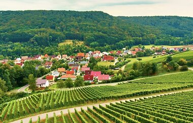 Der Ort Geddelsbach wird von Weinbergen und Wald umrahmt | © Hohenloher Perlen | Weingut Schneckenhof