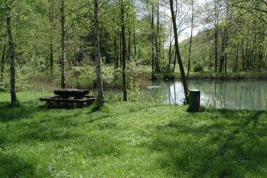 © Touristikgemeinschaft HeilbronnerLand e.V.