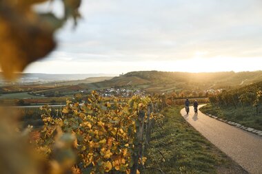 Zweifelberg Radfahren im Sonnenuntergang | © Tourimia Tourismus GmbH | Stefan Leitner Photography