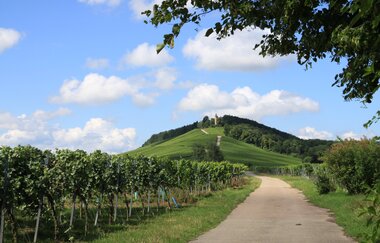 Blick auf den Weg zur Heuchelberger Warte mit großem Hügel im Hintergrund. | © Heuchelberger Warte