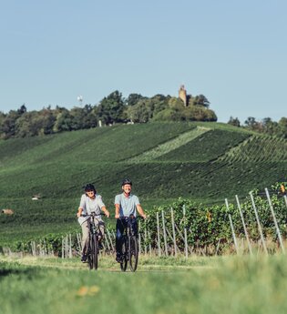 KR2 Kraichgauer Hügeltour | Radtour | © Touristikgemeinschaft HeilbronnerLand e.V.