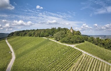 Aussichtsturm Heuchelberger Warte | Leingarten | HeilbronnerLand | © Touristikgemeinschaft HeilbronnerLand