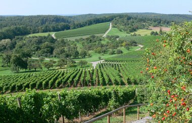 Kraichgau-Stromberg: Kraichgau-Blick-Tour | © Land der 1000 Hügel - Kraichgau-Stromberg