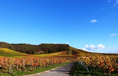 Kraichgau-Stromberg: Mettertal-Tour