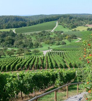 Kraichgau-Stromberg: Naturpark-Tour | © Land der 1000 Hügel - Kraichgau-Stromberg