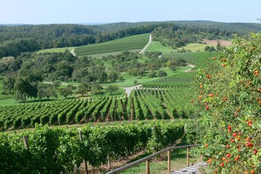 © Land der 1000 Hügel - Kraichgau-Stromberg