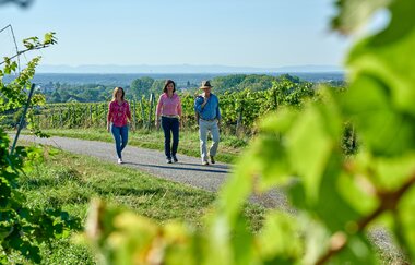 Kraichgau-Stromberg: Riesling-Tour | © Land der 1000 Hügel - Kraichgau-Stromberg