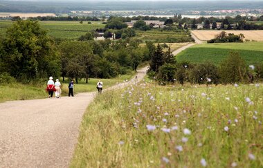 Kraichgau-Stromberg: Schlösser-Tour | © Bruchsaler Tourismus, Marketing & Veranstaltungs GmbH