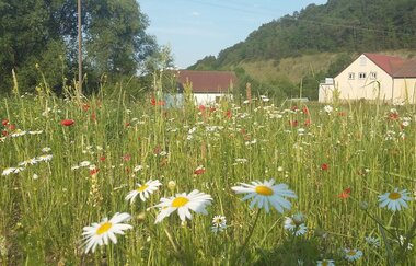 Liebliches Taubertal - Der Sportive 3. Etappe | © Liebliches Taubertal
