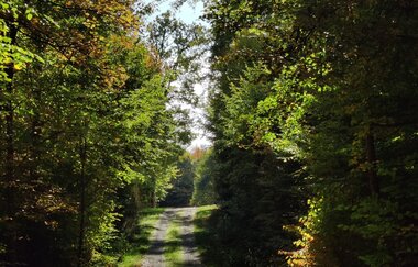 Liebliches Taubertal - Der Sportive 4. Etappe | © Liebliches Taubertal