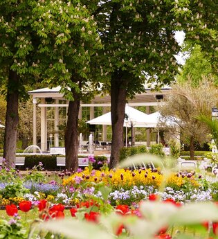 Blick in den Kurpark in Bad Mergentheim. Im Vordergrund sind blühende Blumen und im Hintergrund ein großer Pavillon zu sehen. | © Kurverwaltung Bad Mergentheim