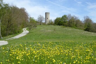 LT 26 Zur St. Kunigunde