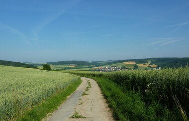 LT-M8 - Pilgern durchs Grünkernland zum Dom der Franken | © Stadt Bad Mergentheim