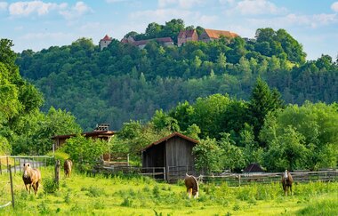 Main-Tauber-Fränkischer Rad-Achter: Ostring 5. Etappe | © Liebliches Taubertal