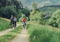 3 Radfahrer fahren auf einem Radweg inmitten von Wiesen und Wäldern | © Touristikgemeinschaft Odenwald e.V.